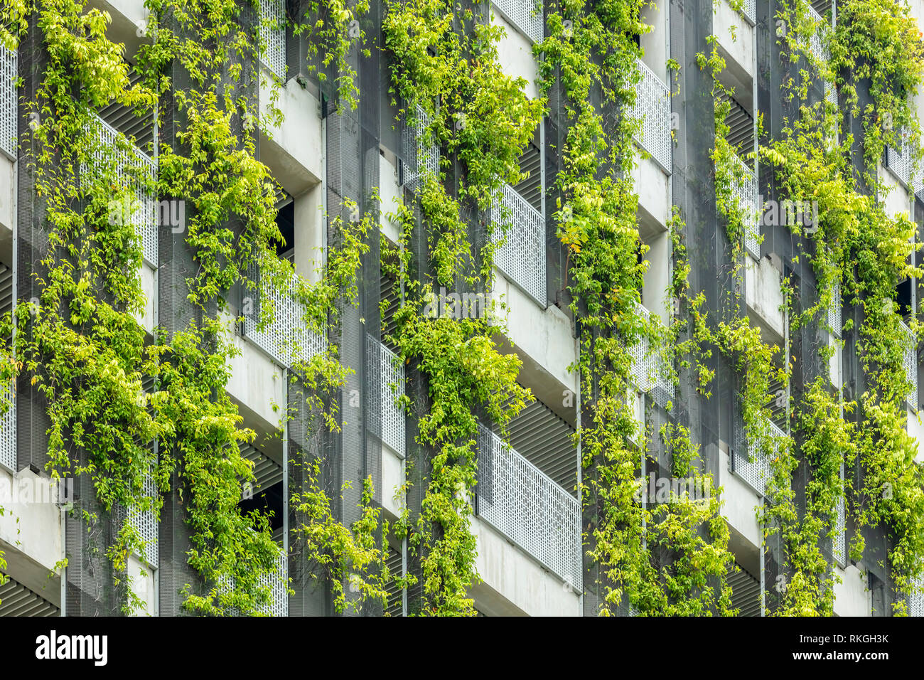 Vertical greening building in Singapore sustainable urbanism Stock Photo