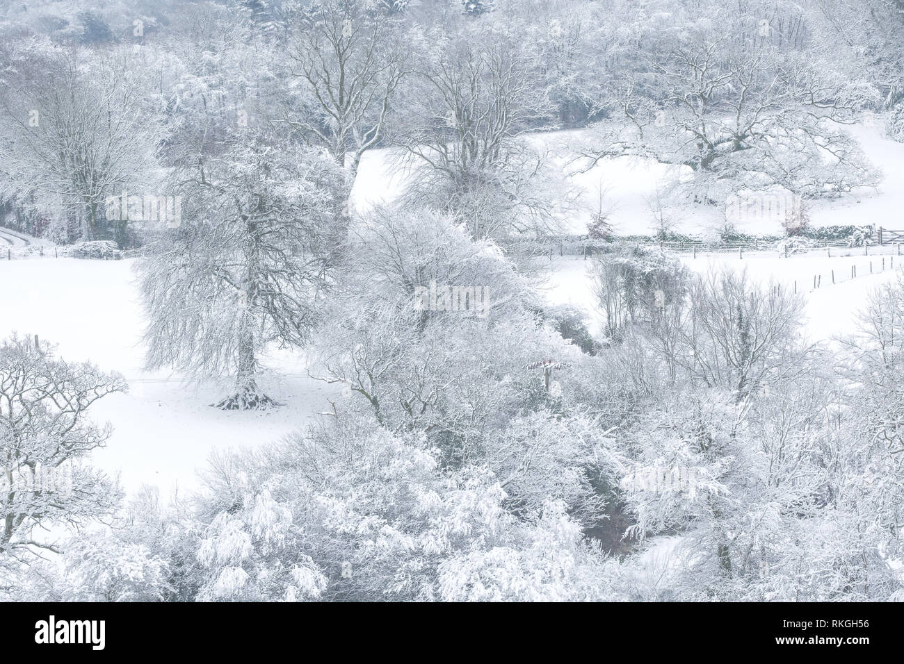 View over a snowy landscape of fields and tree's. Devon Uk Stock Photo
