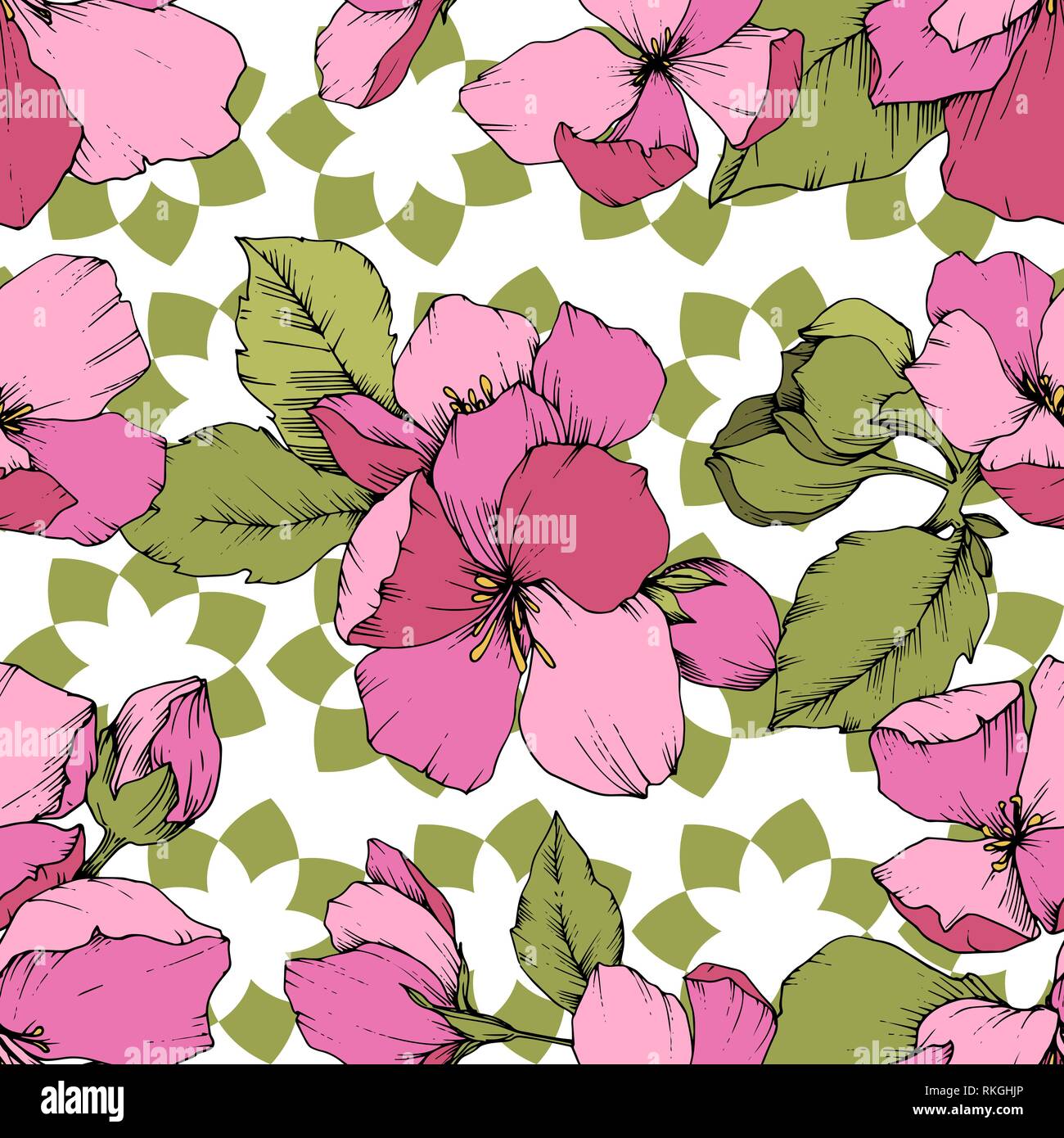 Vector Lower Print Vector Pink Apple blossom floral botanical flower. Engraved ink art ...