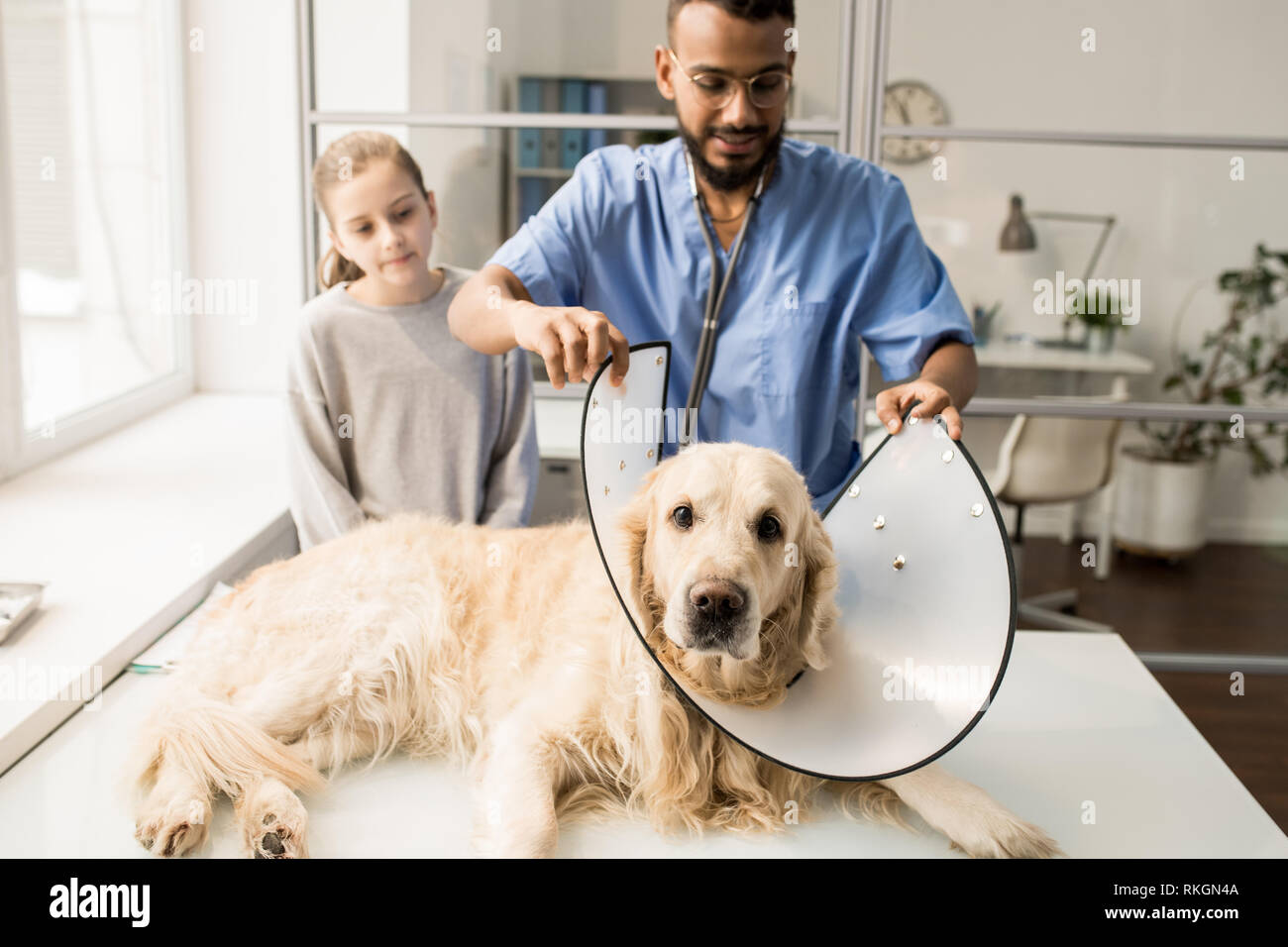 Putting funnel on dog Stock Photo Alamy