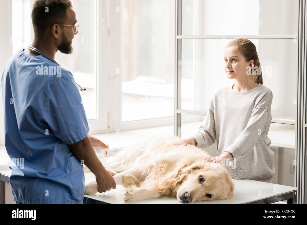 Working in veterinary clinics Stock Photo Alamy