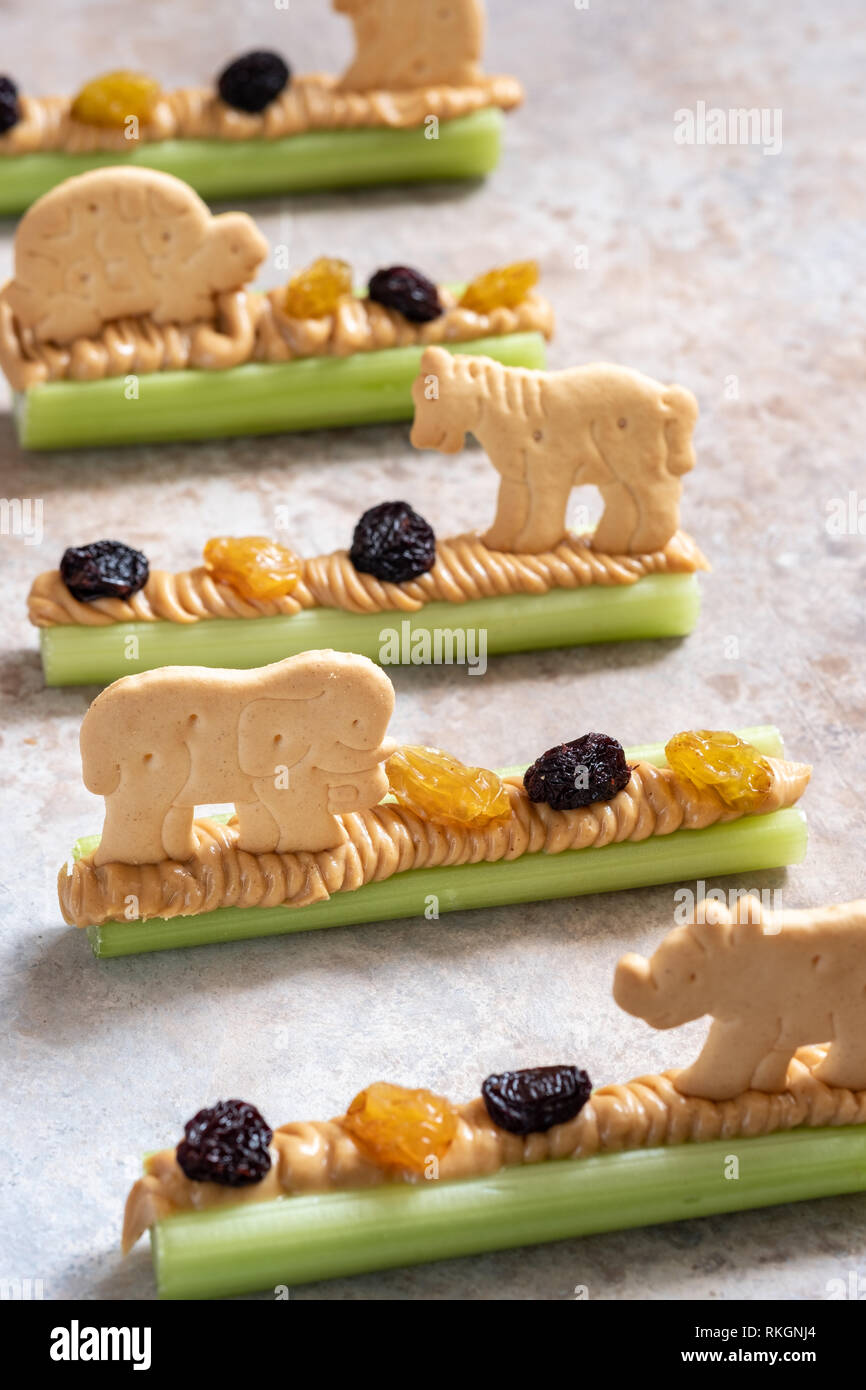 Eating ants on a log hi res stock photography and images alamy