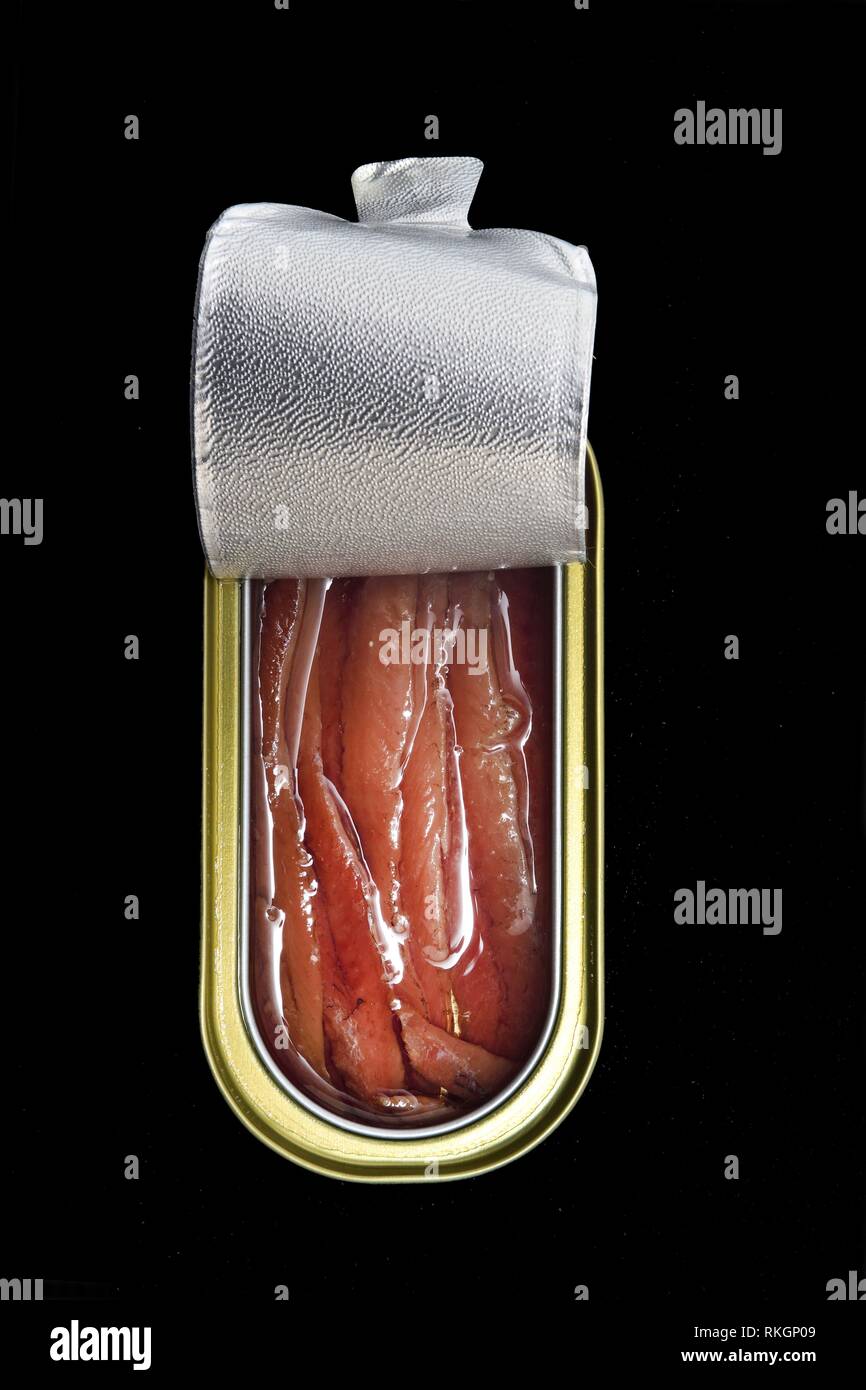 can of anchovies isolated Stock Photo Alamy