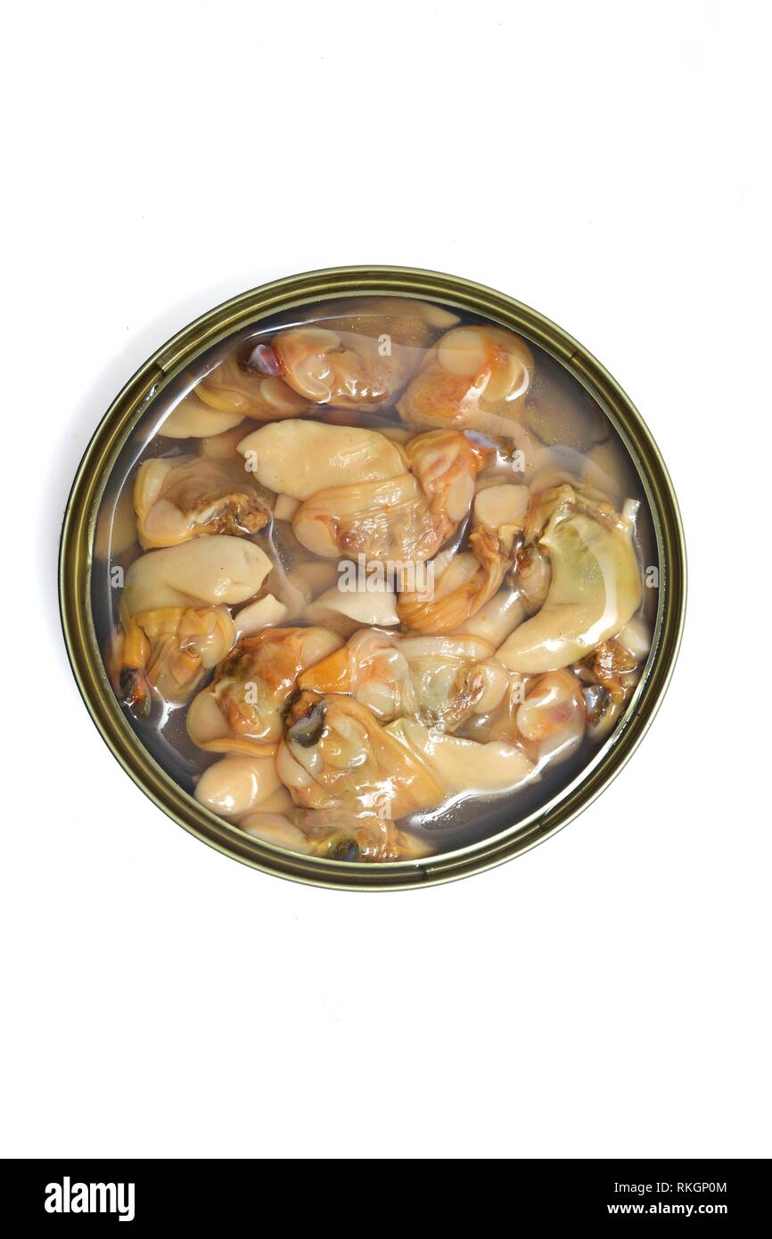can of clams isolated Stock Photo Alamy