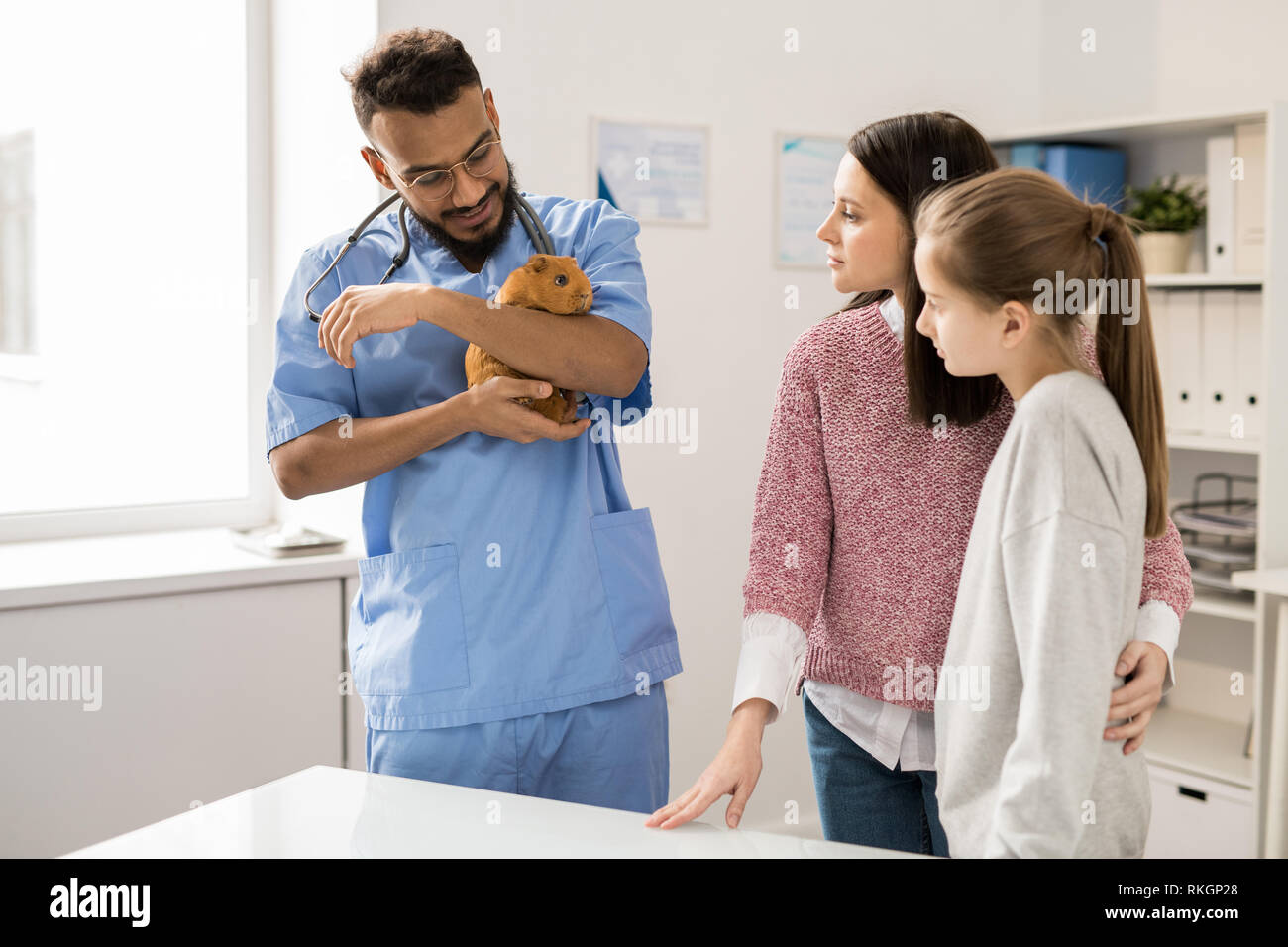 Consultation of veterinary doctor Stock Photo Alamy