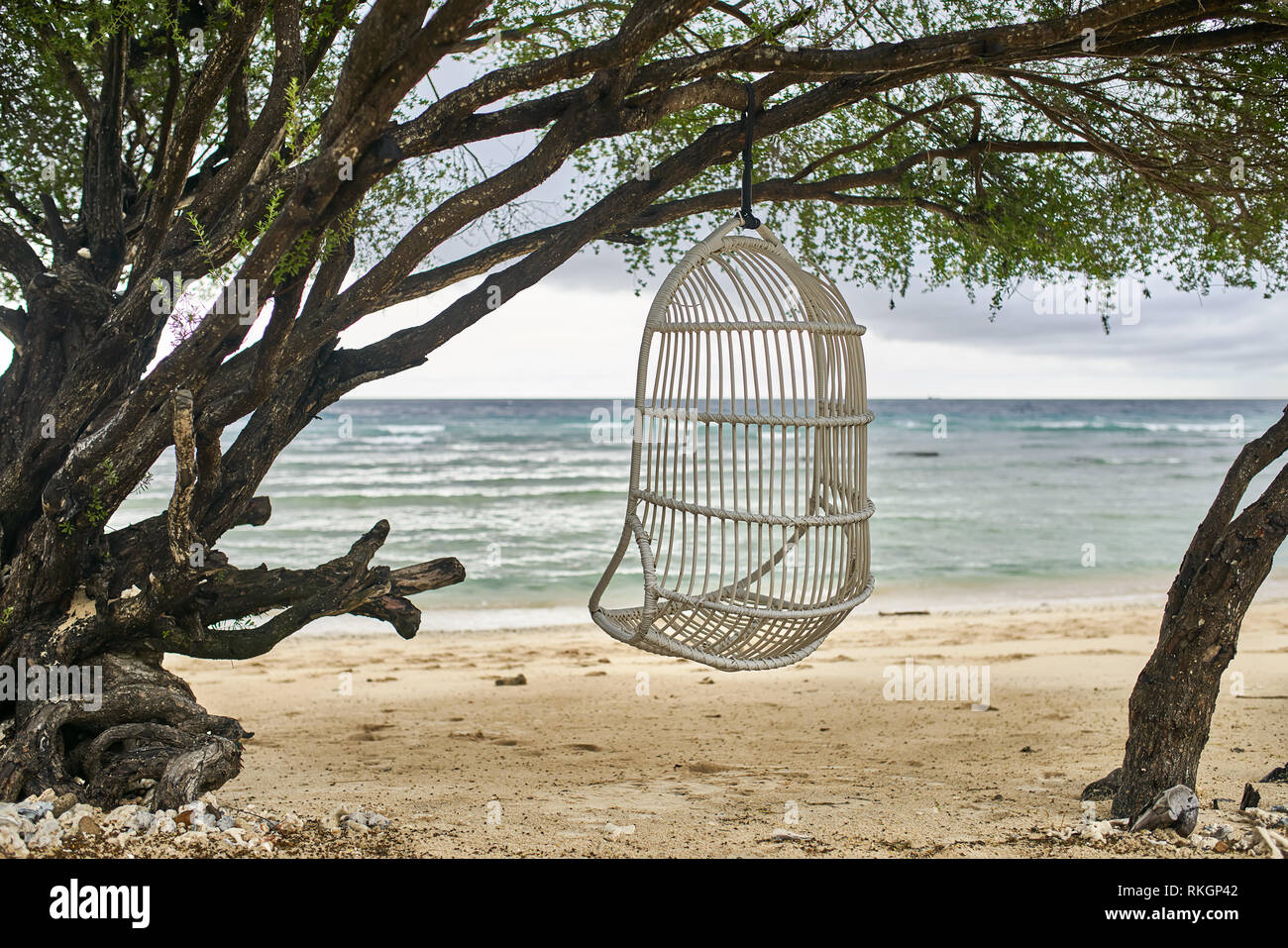 Light wicker armchair is hanging on the branch of the green tree on the tropical sand beach on the background of the stormy sea and cloudy sky. Horizo Stock Photo