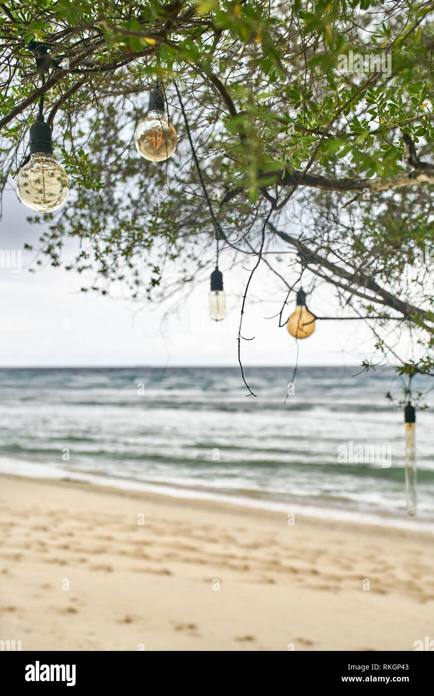 Several different filament bulbs are hanging on the black cables on the green tropical tree on the blurred background of the sand beach and sea. Verti Stock Photo