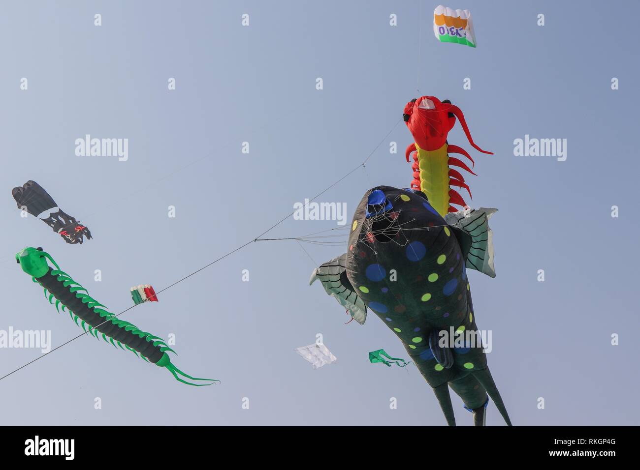 International Kite Festival2019, AhmedabadIndia Stock Photo Alamy
