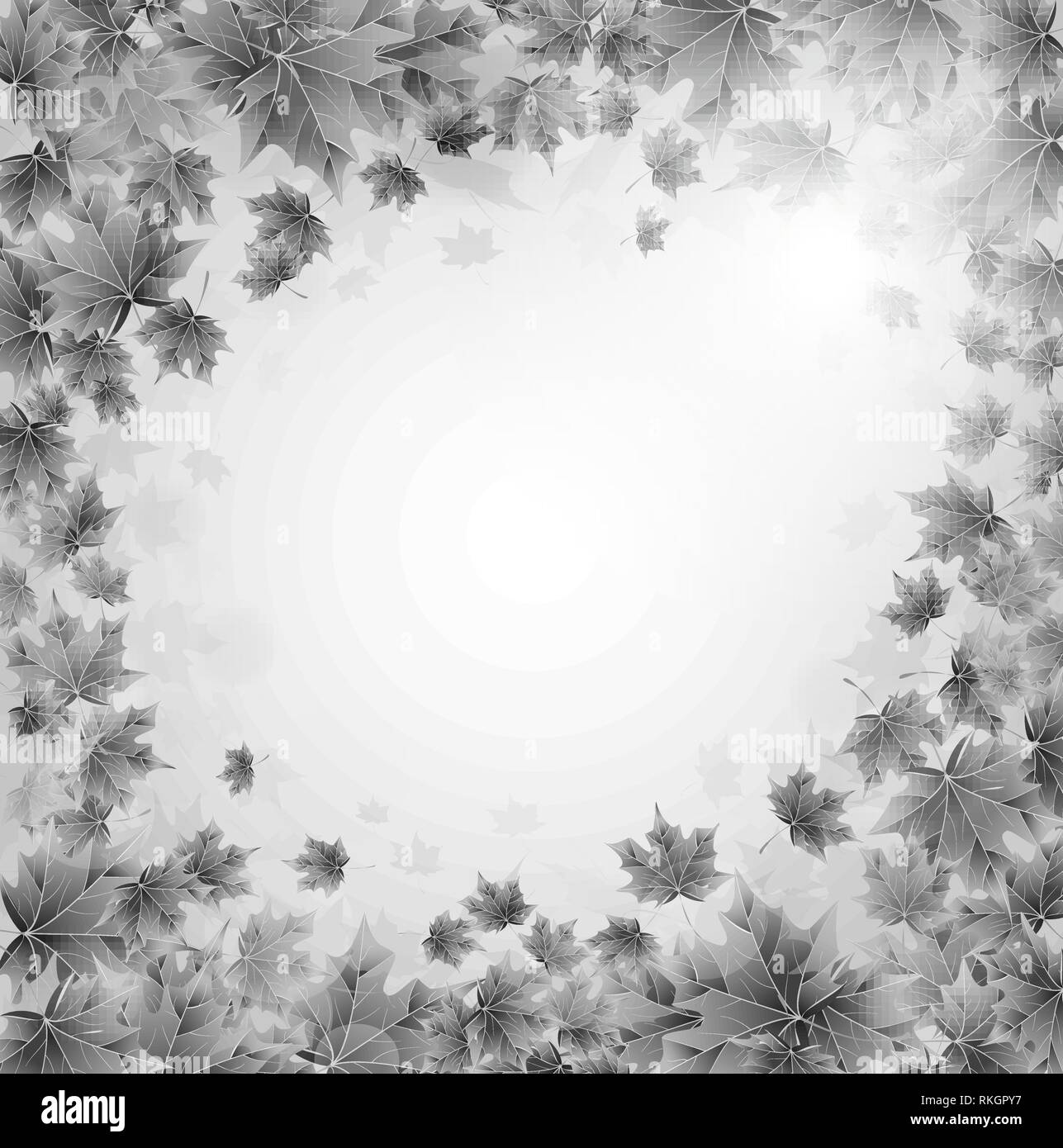 Frame of gray leaves of maple. Sunny spring or summer day. Awakening of nature. Cover or background for an article. Stock Vector