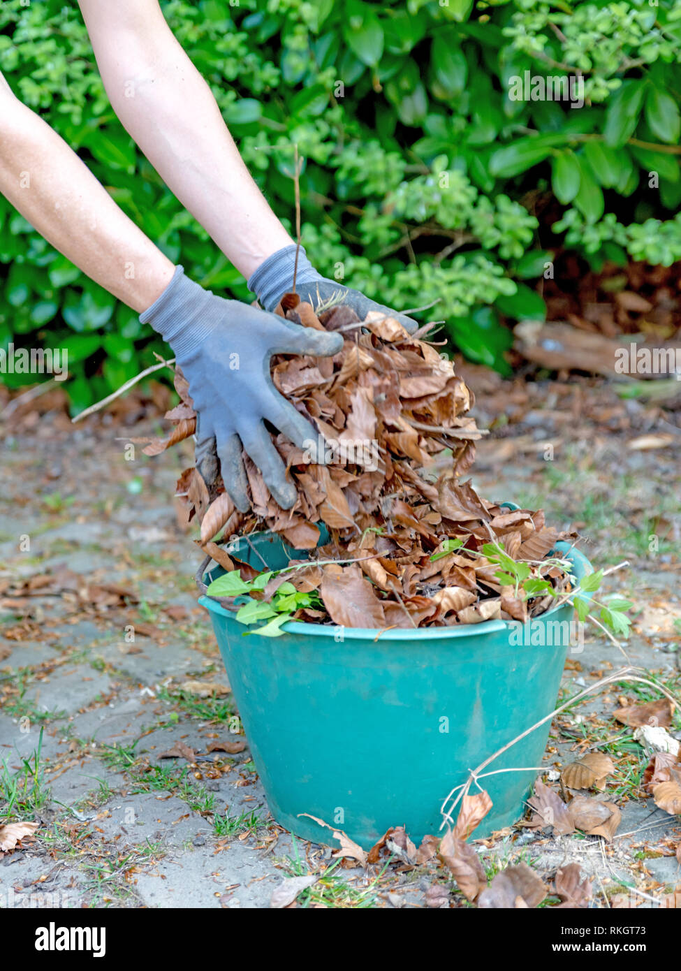 Throw And Grow High Resolution Stock Photography and Images Alamy