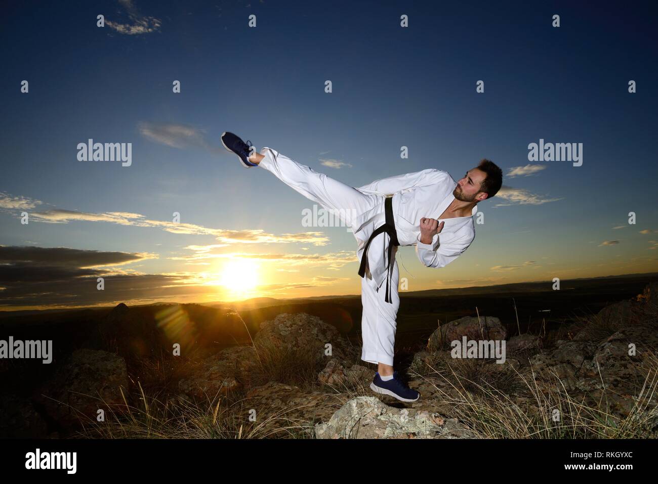 Specialist in martial arts making technical movements. Stock Photo