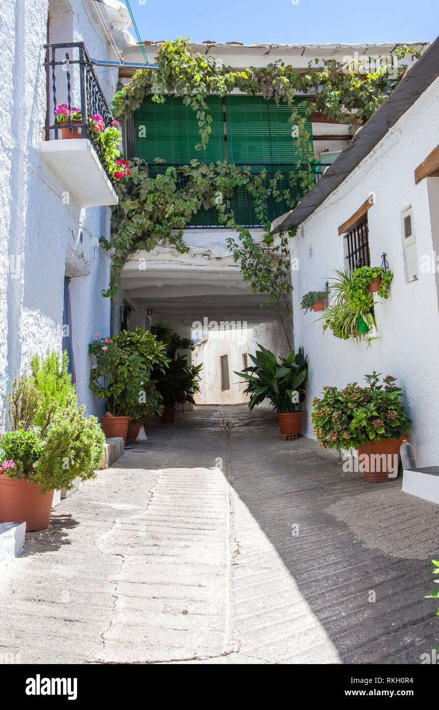 Traditional alley called tinao. Unique feature architecture that connects buildings on both sides of narrow village streets. Capileira town. Stock Photo