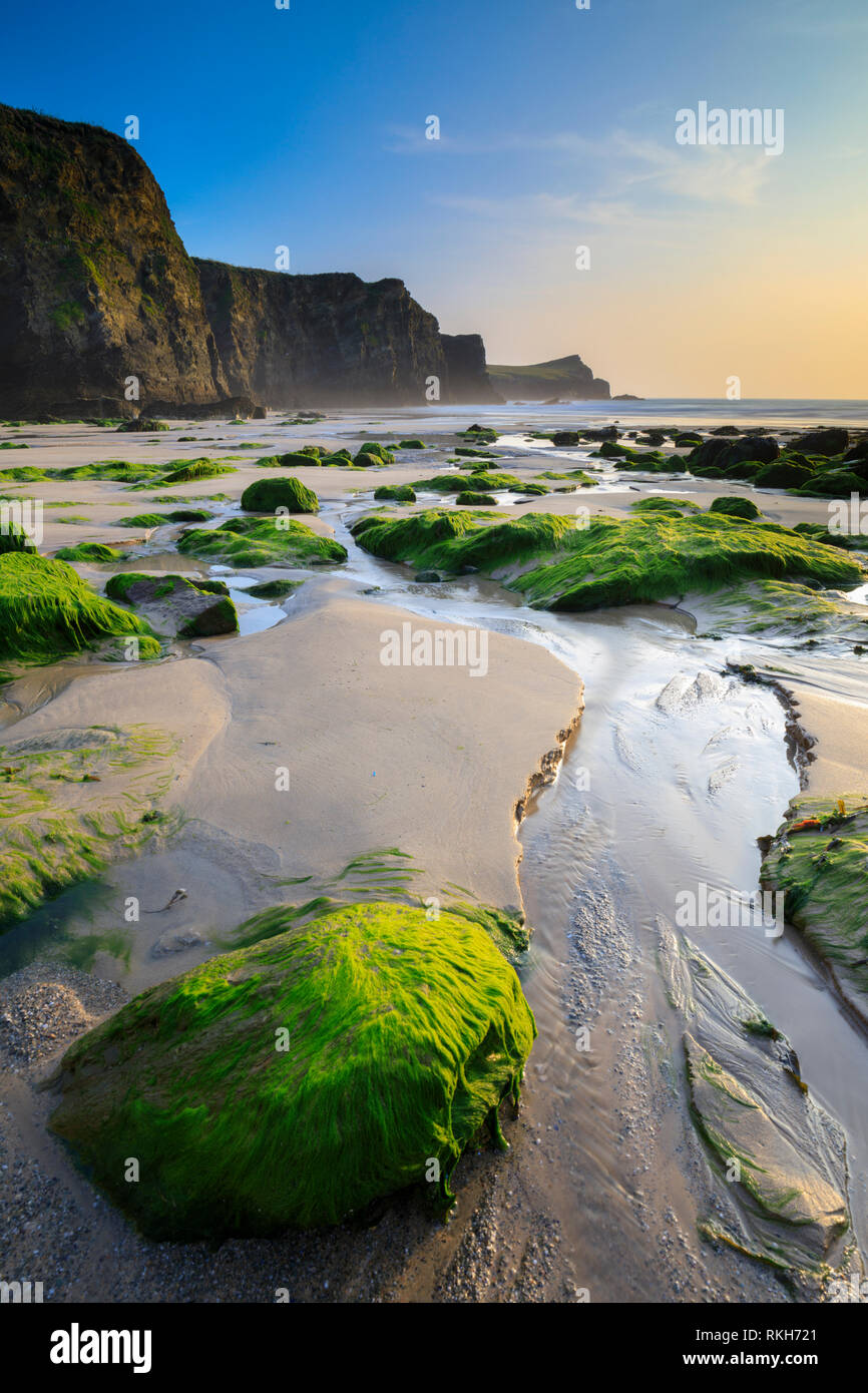 Whipsiderry Cove, near Porth in Cornwall. Stock Photo