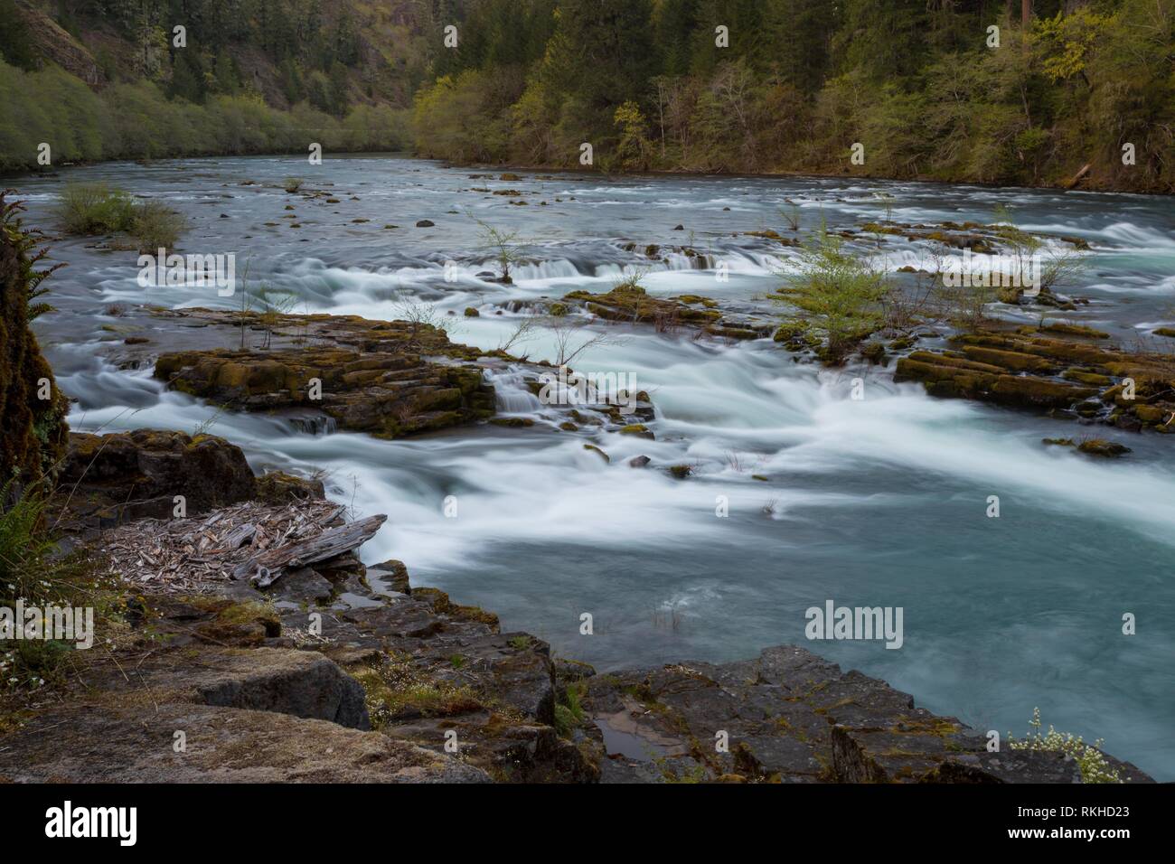North Umpqua River wild and scenic section in the Umpqua National Forest of Oregon near the town