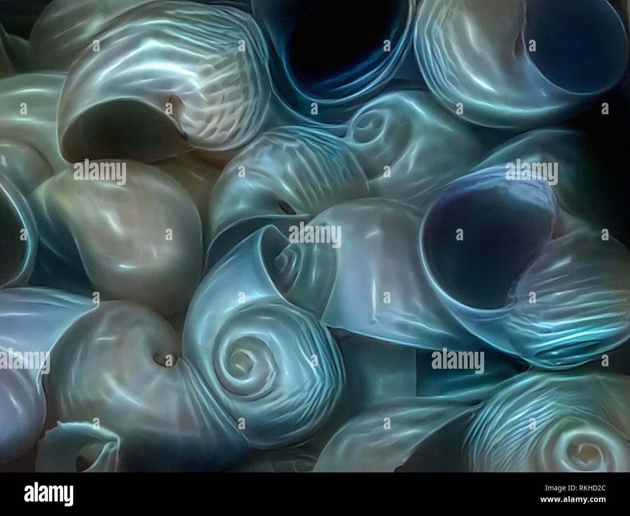 Beautiful glowing moon seashells. Shining blue light Stock Photo - Alamy