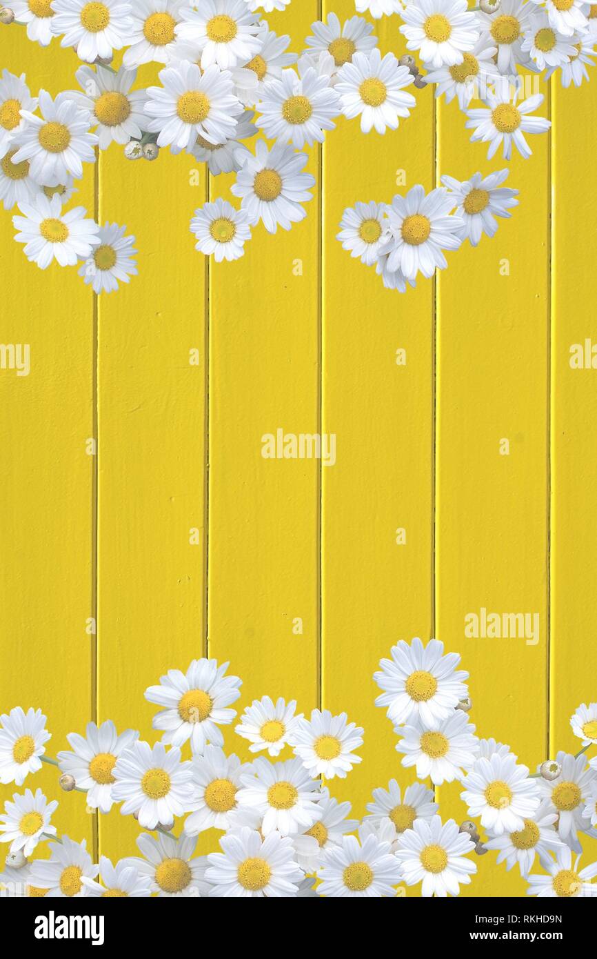 Yellow painted wood texture hires stock photography and images Alamy