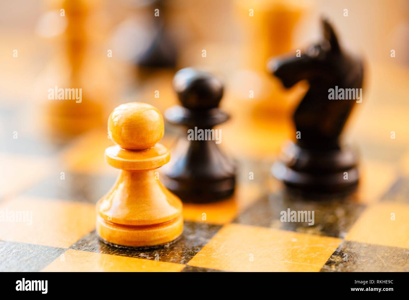 Chess pawns and knight standing on chessboard Stock Photo Alamy