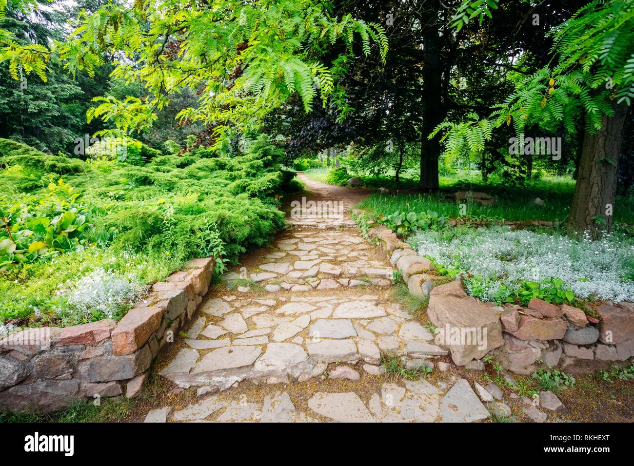 Stone Pathway Walkway Lane Path With Green Trees And Bushes In Garden. Beautiful Alley In Park. Stock Photo