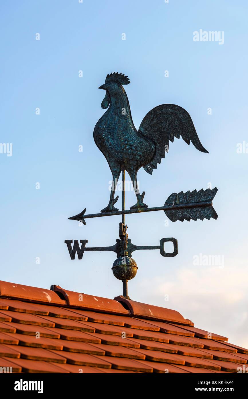 House roof with weather vane with weather vane, Baden-Württemberg, Germany Stock Photo
