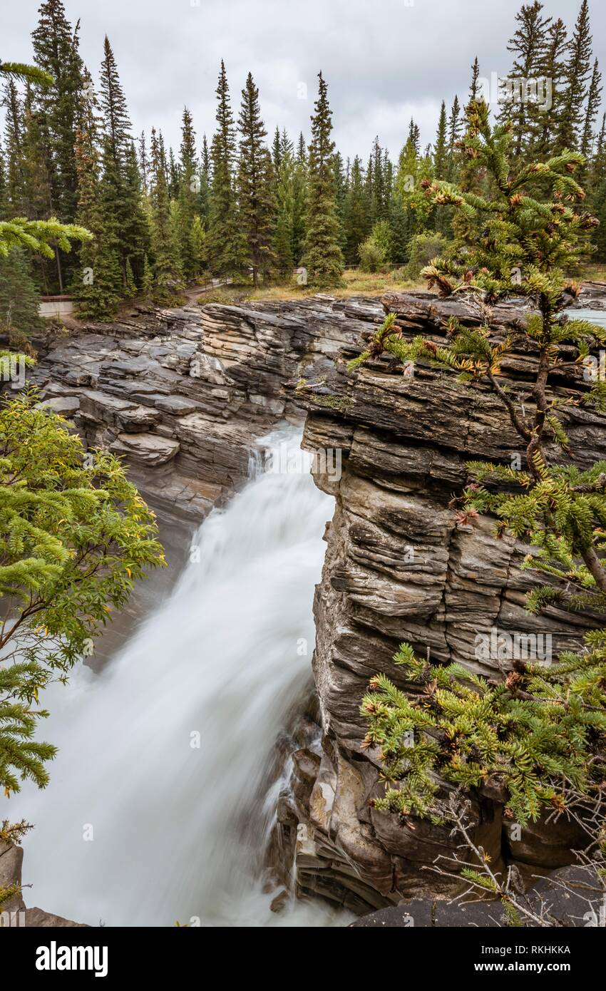 Waterfall, Athabasca Falls, Athabasca River, Icefields Parkway, Banff National Park, Alberta, Canada Stock Photo