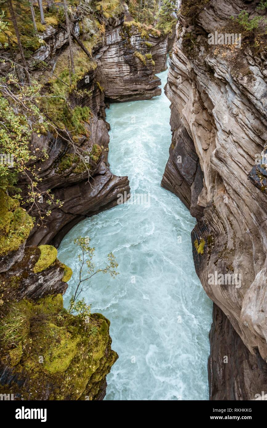 Turquoise water flows through a gorge, Athabasca Gorge, Athabasca River, Jasper National Park, back mountains, evening mood Stock Photo
