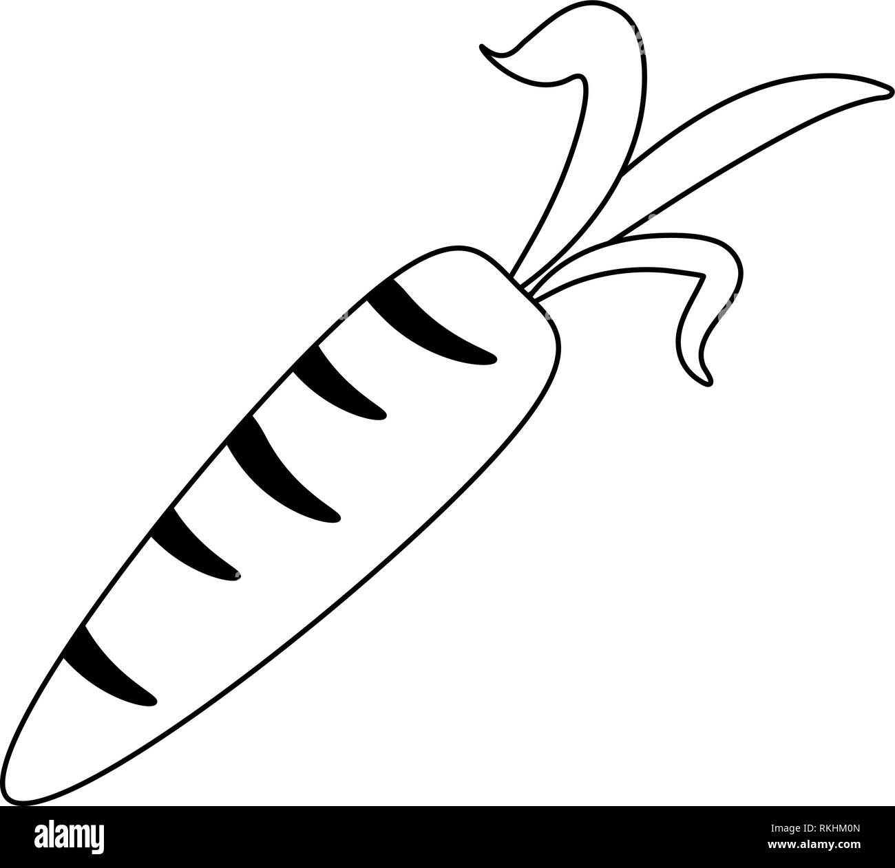 carrot fresh vegetable cartoon black and white Stock Vector Image & Art