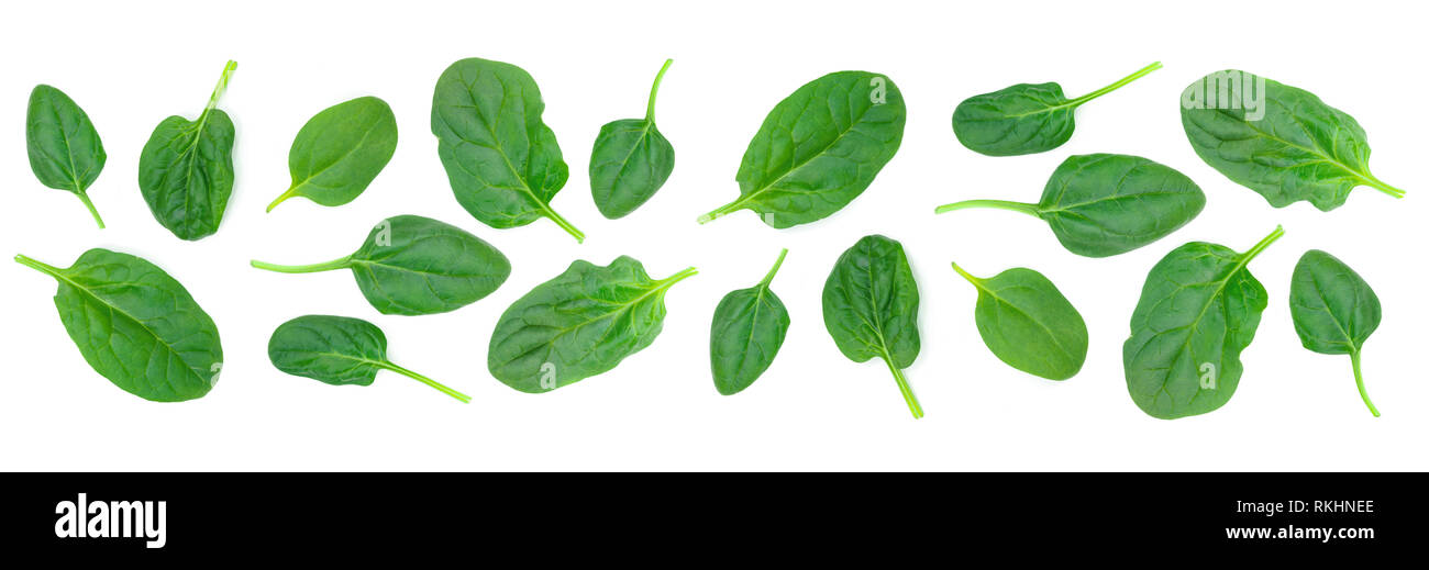 Group of spinach leaves isolated on white background in close-up (high ...