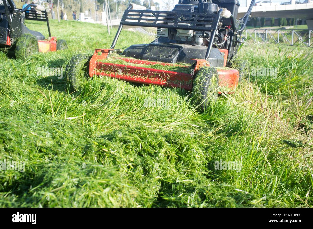 Heap of green grass new-mown with two lawn mowers behind. Focus on machine. Stock Photo