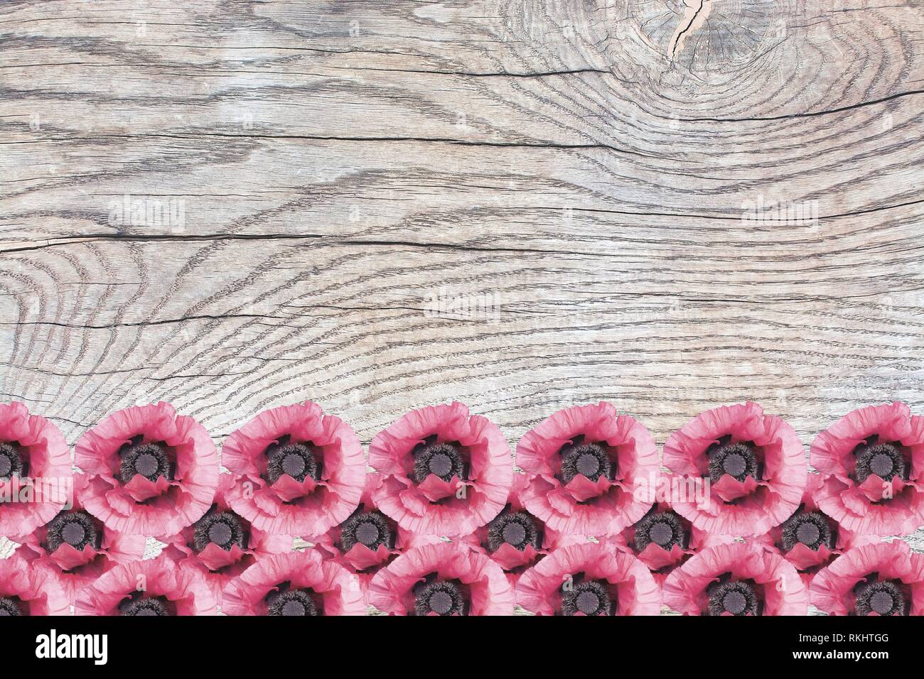 Pink poppies on wood surface with patina, organic texture background copy space. Stock Photo
