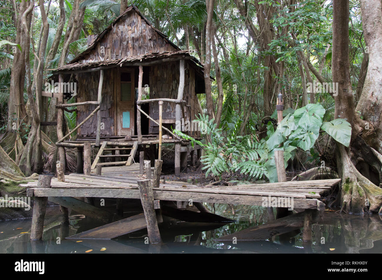 Cabin in the woods next to a river in the jungle. House of Calypso / Tia Dalma in the movie Pirates of the Caribbean Stock Photo