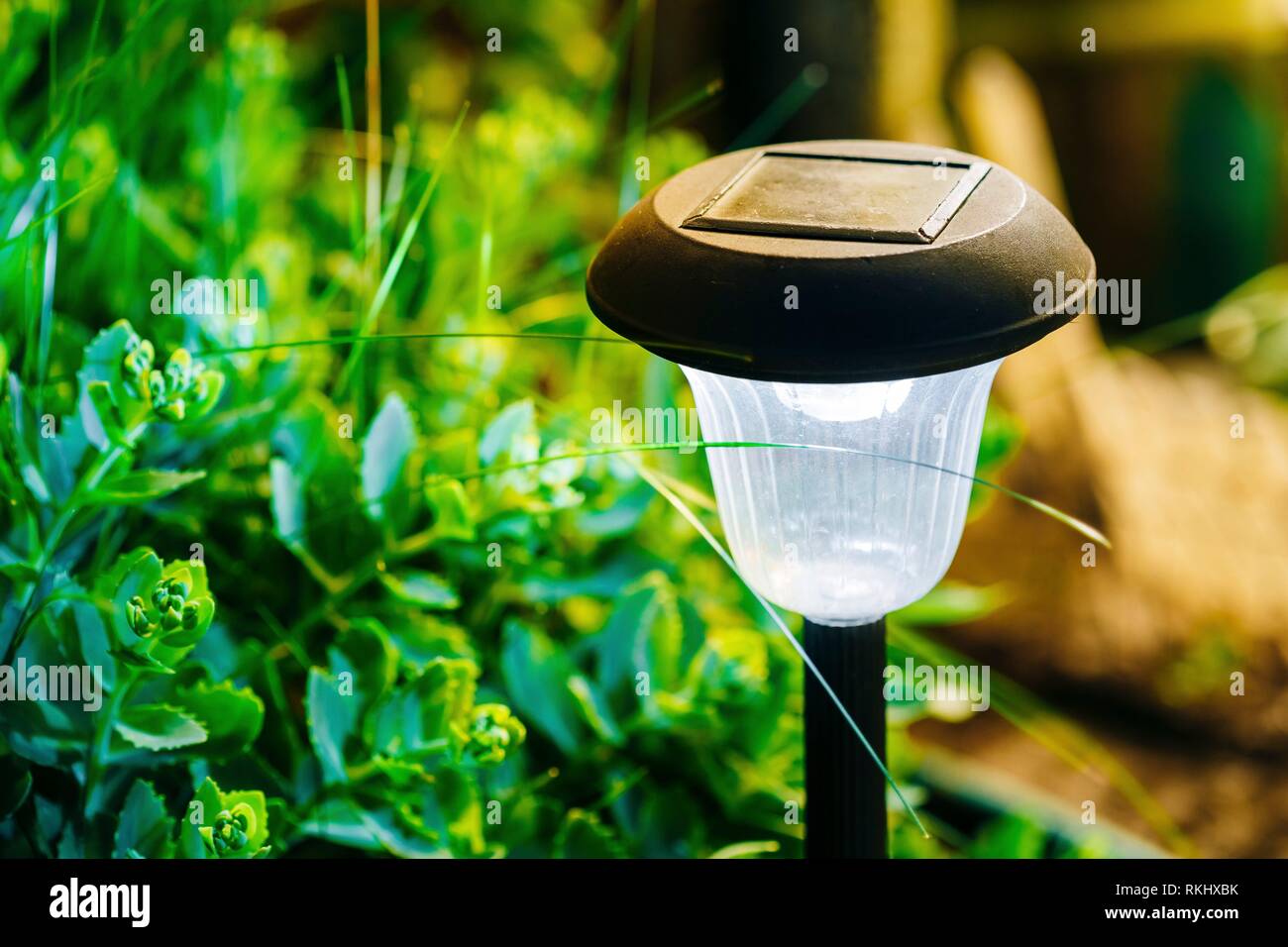 Beautiful Small Solar Garden Light, Lanterns In Flower Bed. Garden Design.  Solar Powered Lamp Stock Photo - Alamy