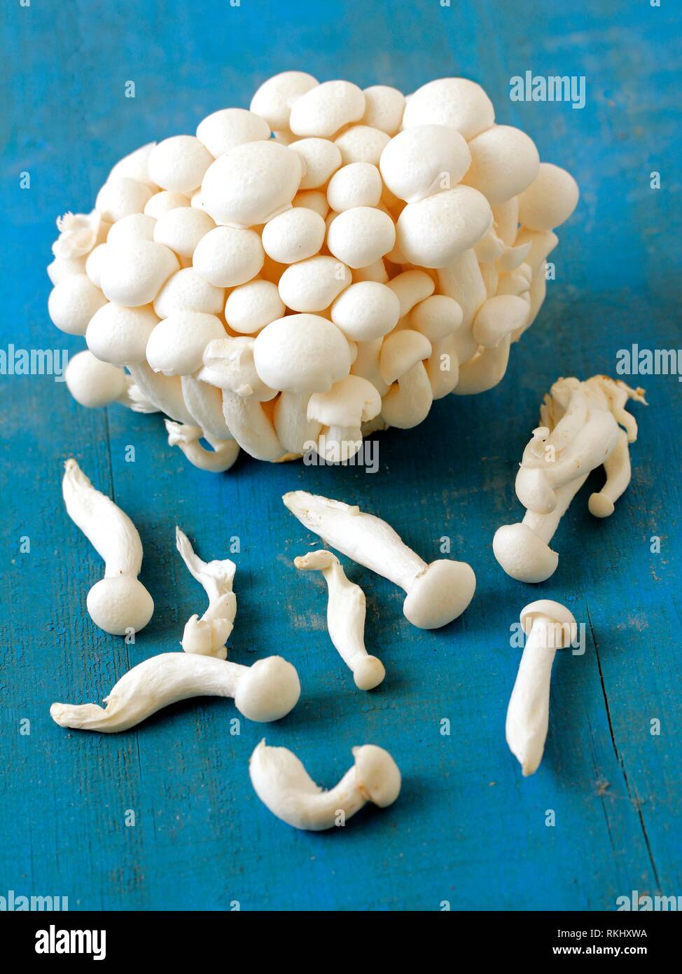 Chinese mushrooms. Shimeji. Lyophyllum shimeji Stock Photo Alamy