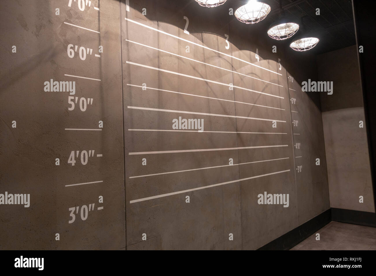 Police line-up wall, The Mob Museum, Las Vegas (City of Las Vegas), Nevada, United States. Stock Photo