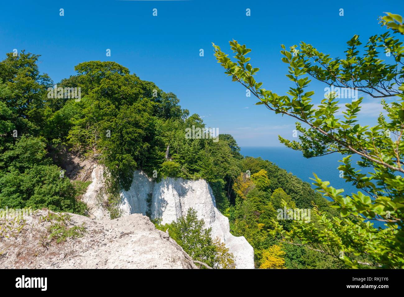 In the jasmund national park hi-res stock photography and images - Alamy