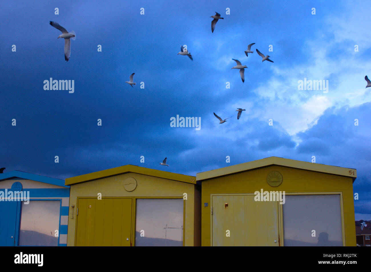 Famous colorful beach huts in Seaford with seagulls in the stormy sky. Stock Photo