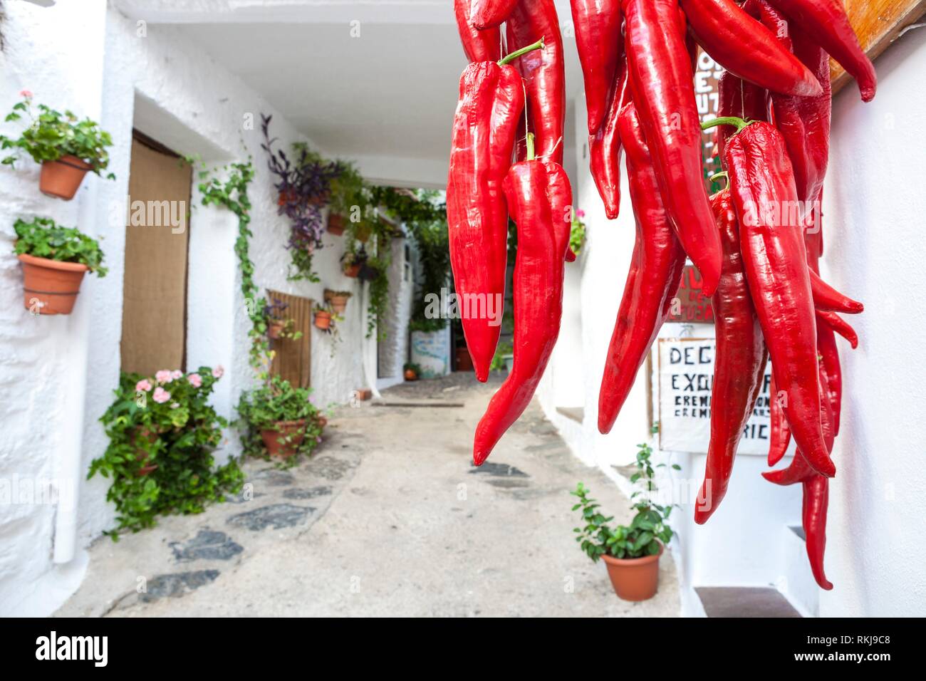 Hanging bunch of red hot chili peppers for sale at Pampaneira town. Alpujarras, Granada, Spain. Stock Photo