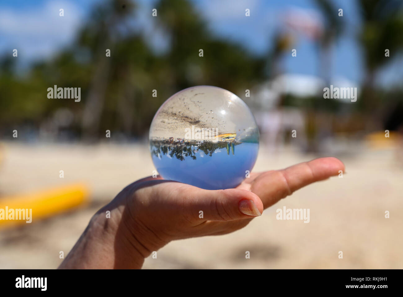 Glass ball. Beach through a glass ball Stock Photo Alamy