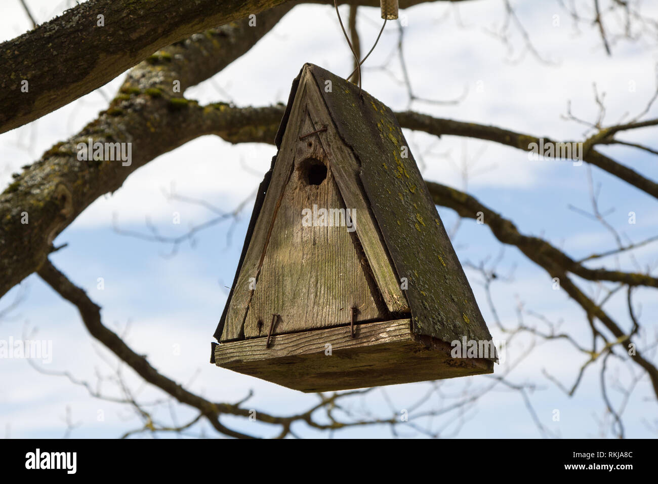 Several birdhouses hires stock photography and images Alamy