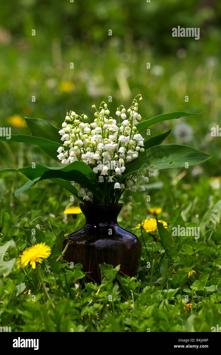 Lily of the valley in a vase hi-res stock photography and images - Alamy
