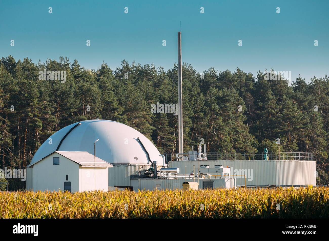 Biogas Plant Or Bioreactor For Fermentation Of Chicken Manure Stock