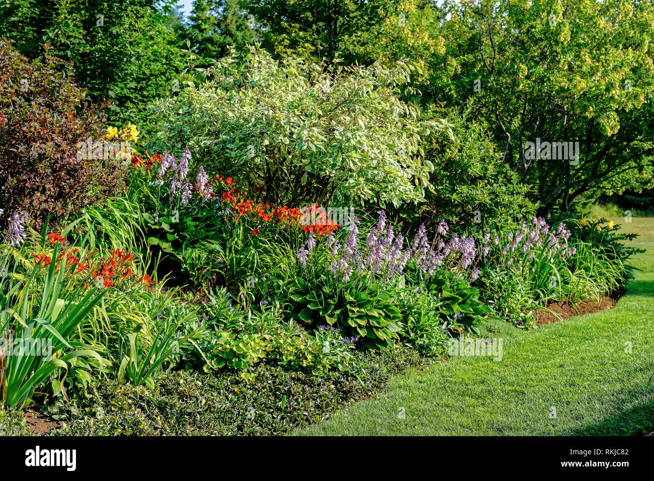 Large perennial bed with flowers and shrubs. Stock Photo