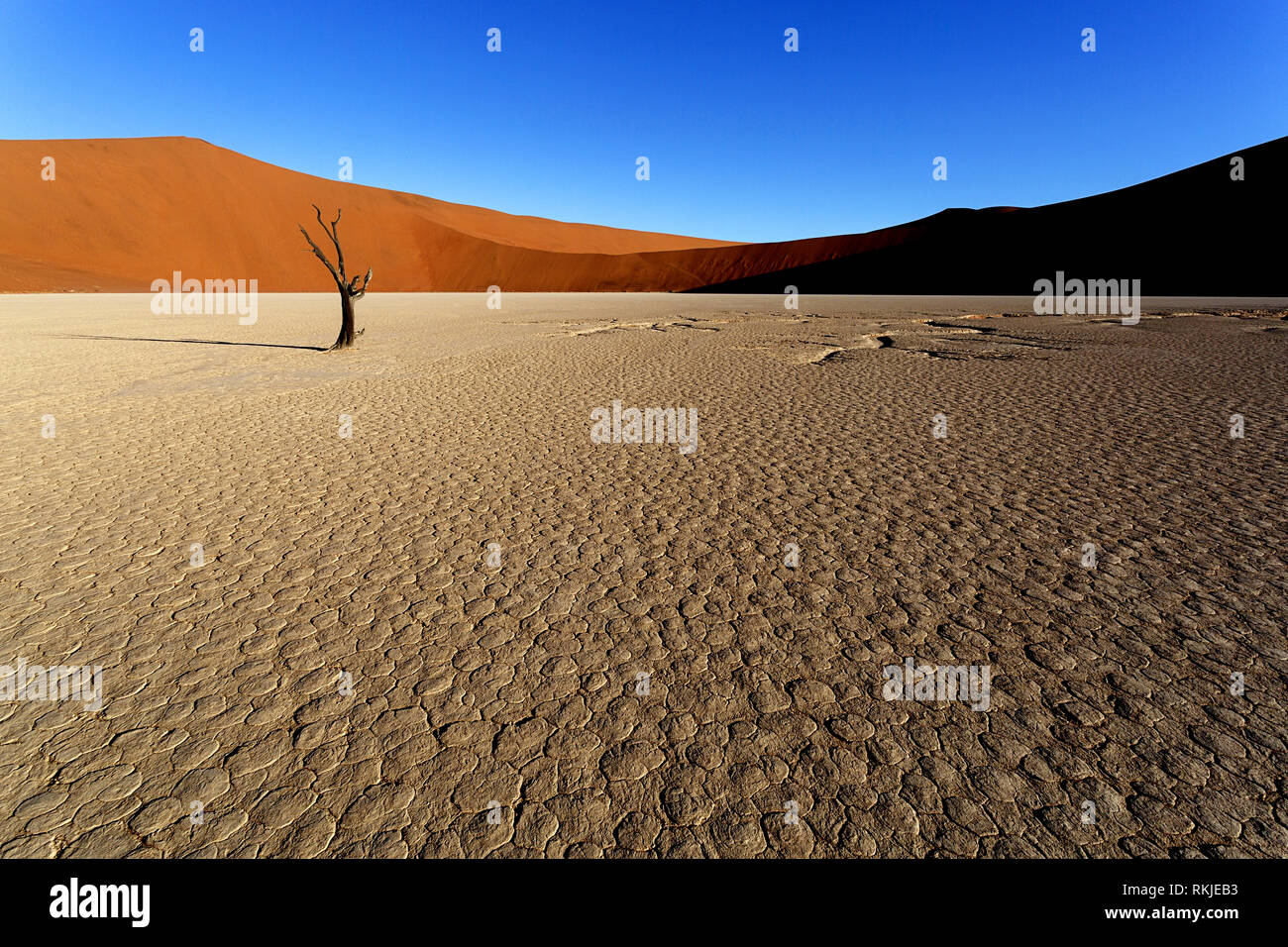 Deadvlei dawn hi-res stock photography and images - Alamy