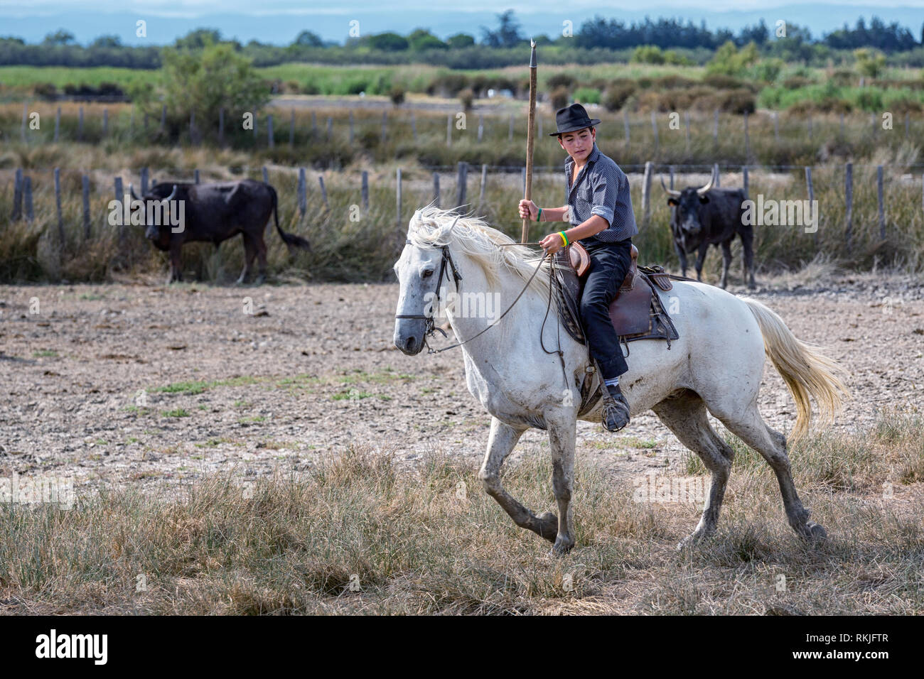 A young French Guardianson on horse, Camargue, France Stock Photo