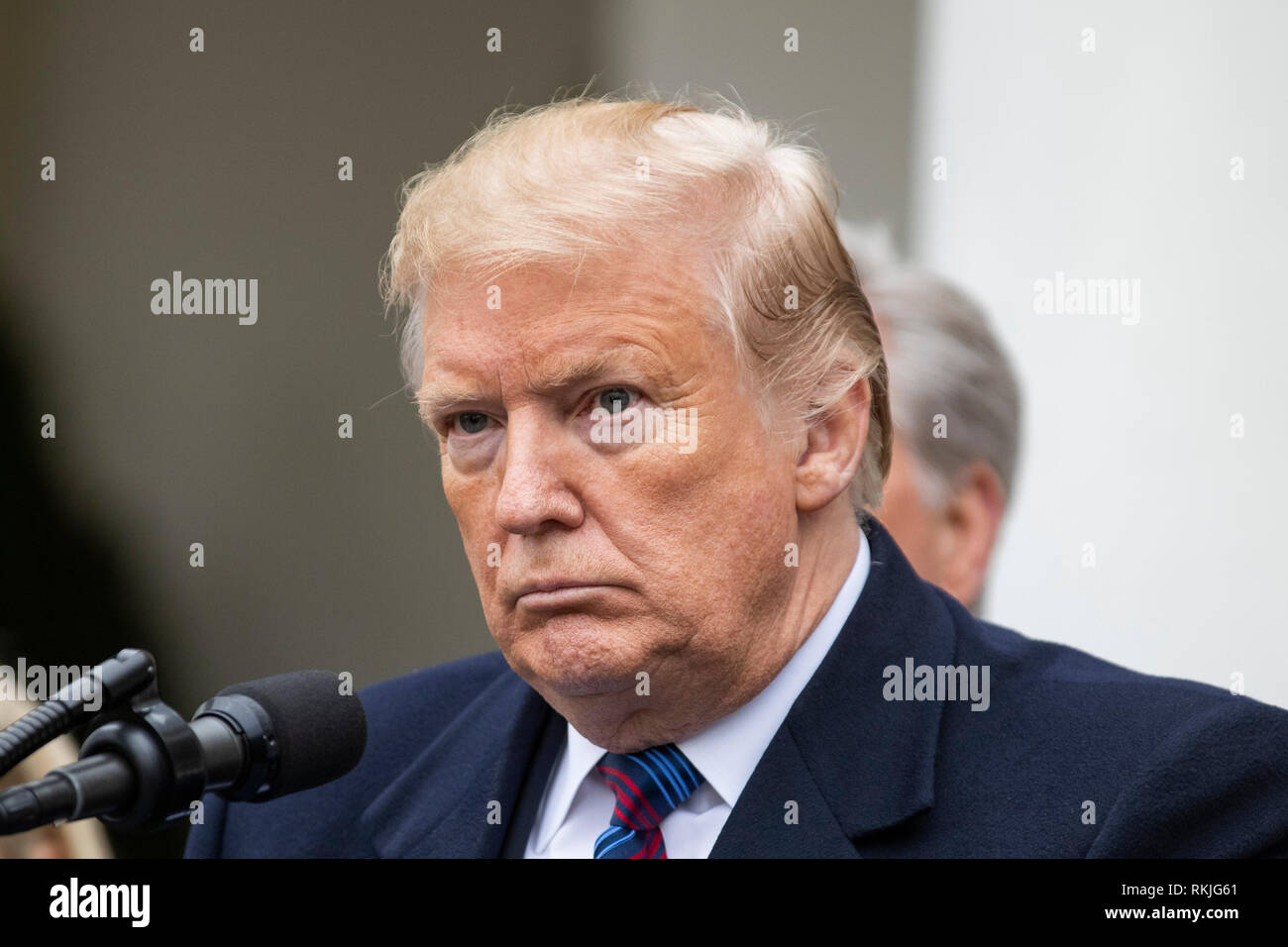 US President Donald Trump speaks to reporters in the Rose Garden of the White House on January 4, 2019. Stock Photo