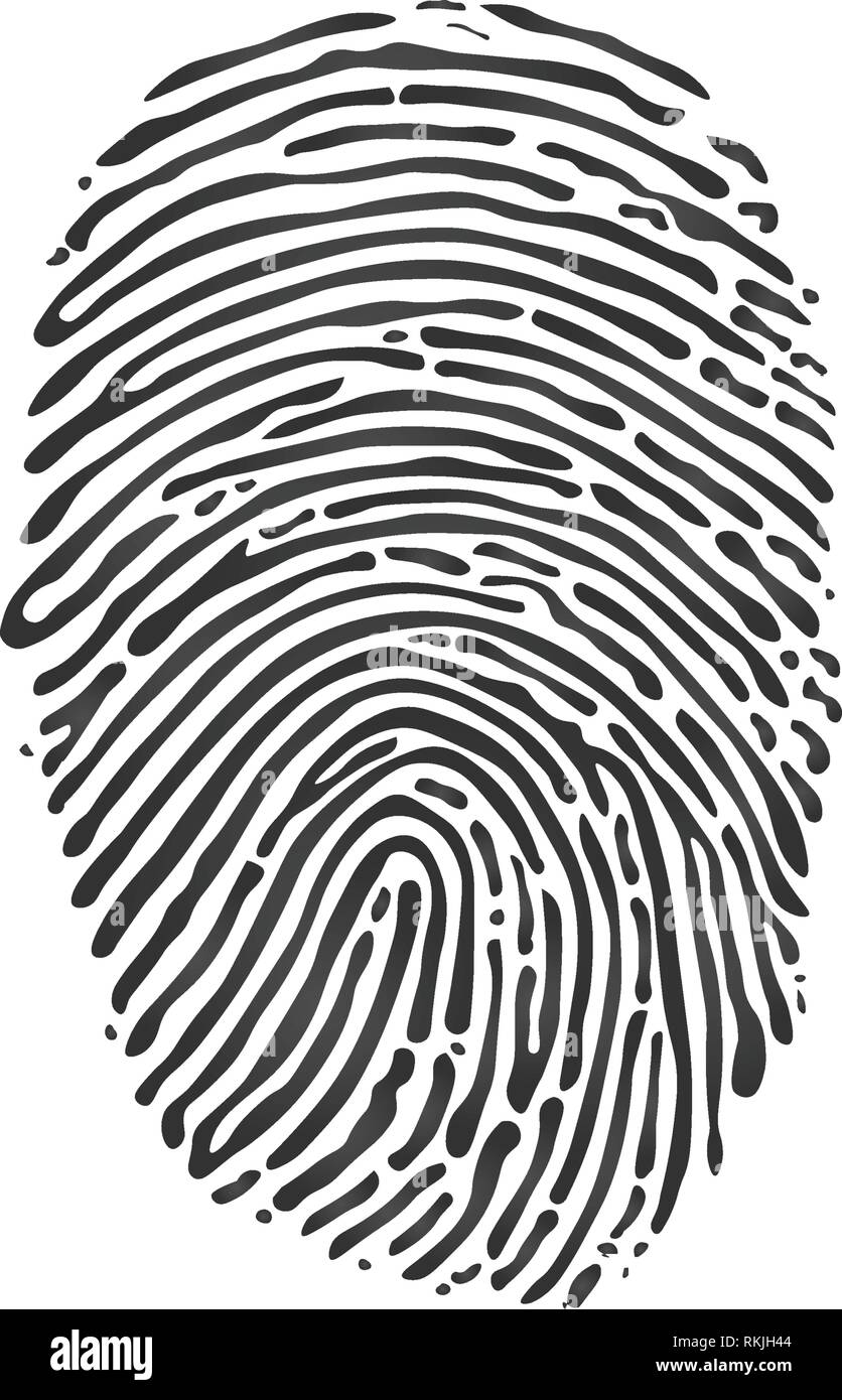 Black Fingerprint icon on white background. Vector illustration Stock Vector