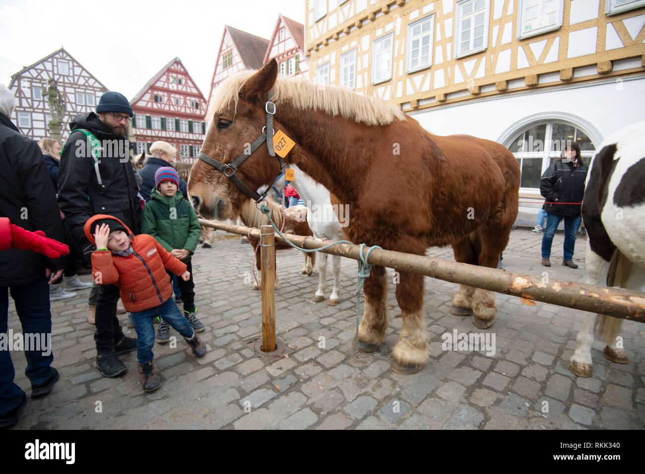 Leonberg, Germany. 12th Feb, 2019. Visitors to the Leonberg Horse Market  can see a horse on the market square. Credit: Marijan Murat/dpa/Alamy Live  News Stock Photo - Alamy