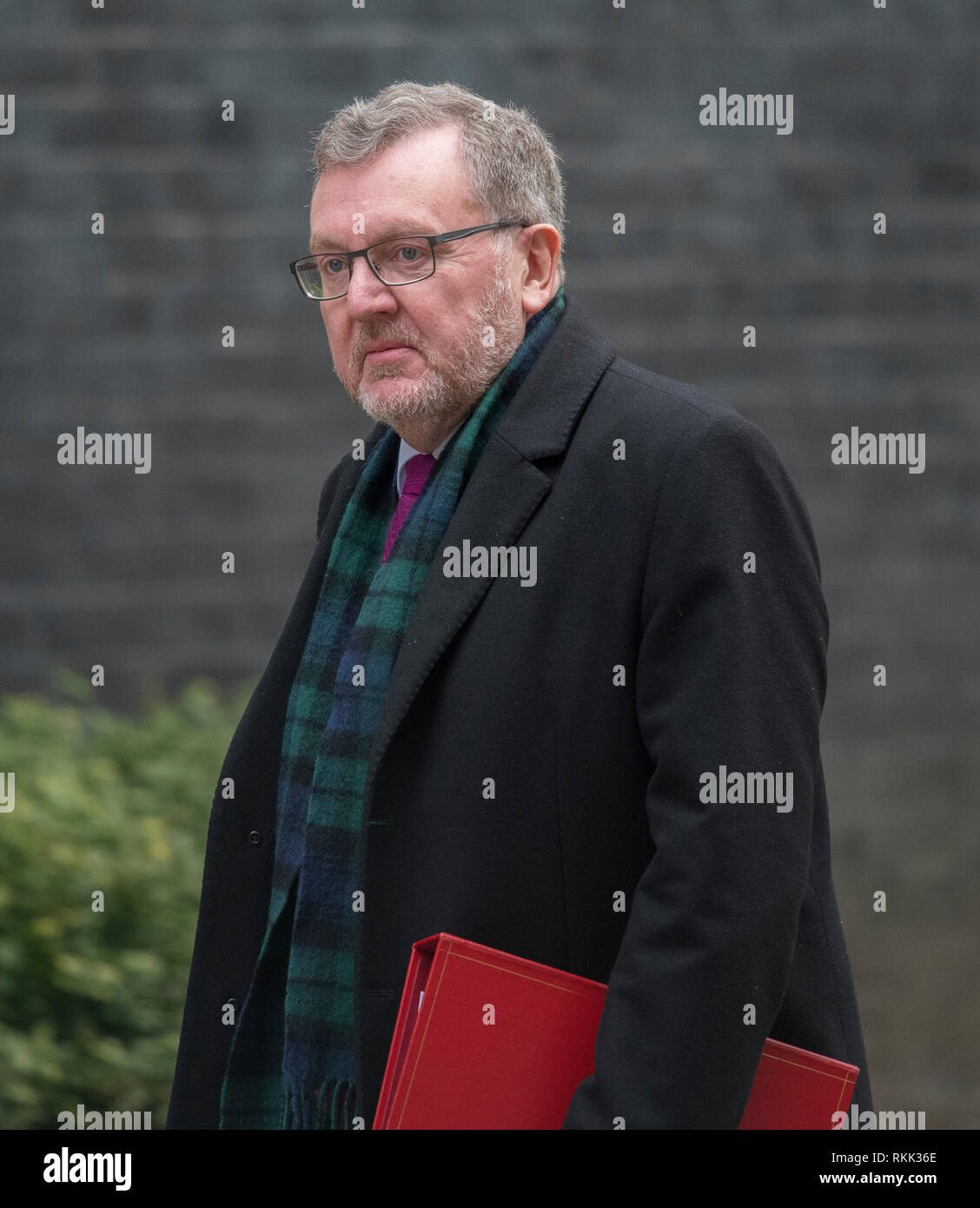 Downing Street, London, UK. 12 February 2019. Government Ministers arrive in Downing Street for weekly cabinet meeting. David Mundell, Secretary of State for Scotland. Credit: Malcolm Park/Alamy Live News. Stock Photo