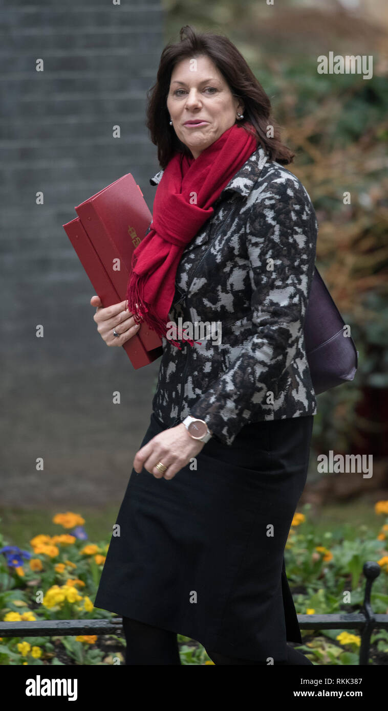 Downing Street, London, UK. 12 February 2019. Government Ministers arrive in Downing Street for weekly cabinet meeting. Claire Perry, Minister of State for Energy and Clean Growth. Credit: Malcolm Park/Alamy Live News. Stock Photo
