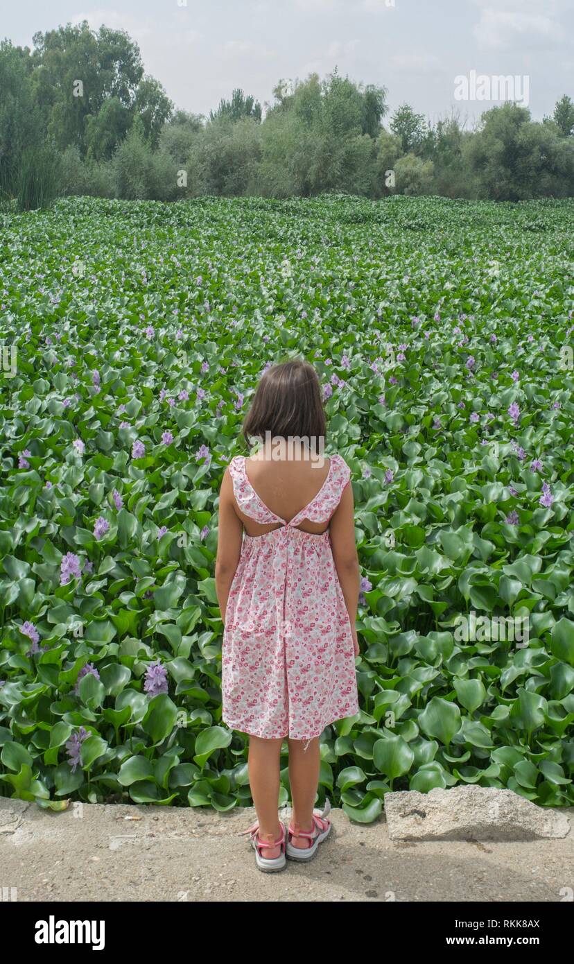 Child girl over invasive water hyacinth, taking over the whole course of Guadiana River, near Badajoz, Spain. Stock Photo