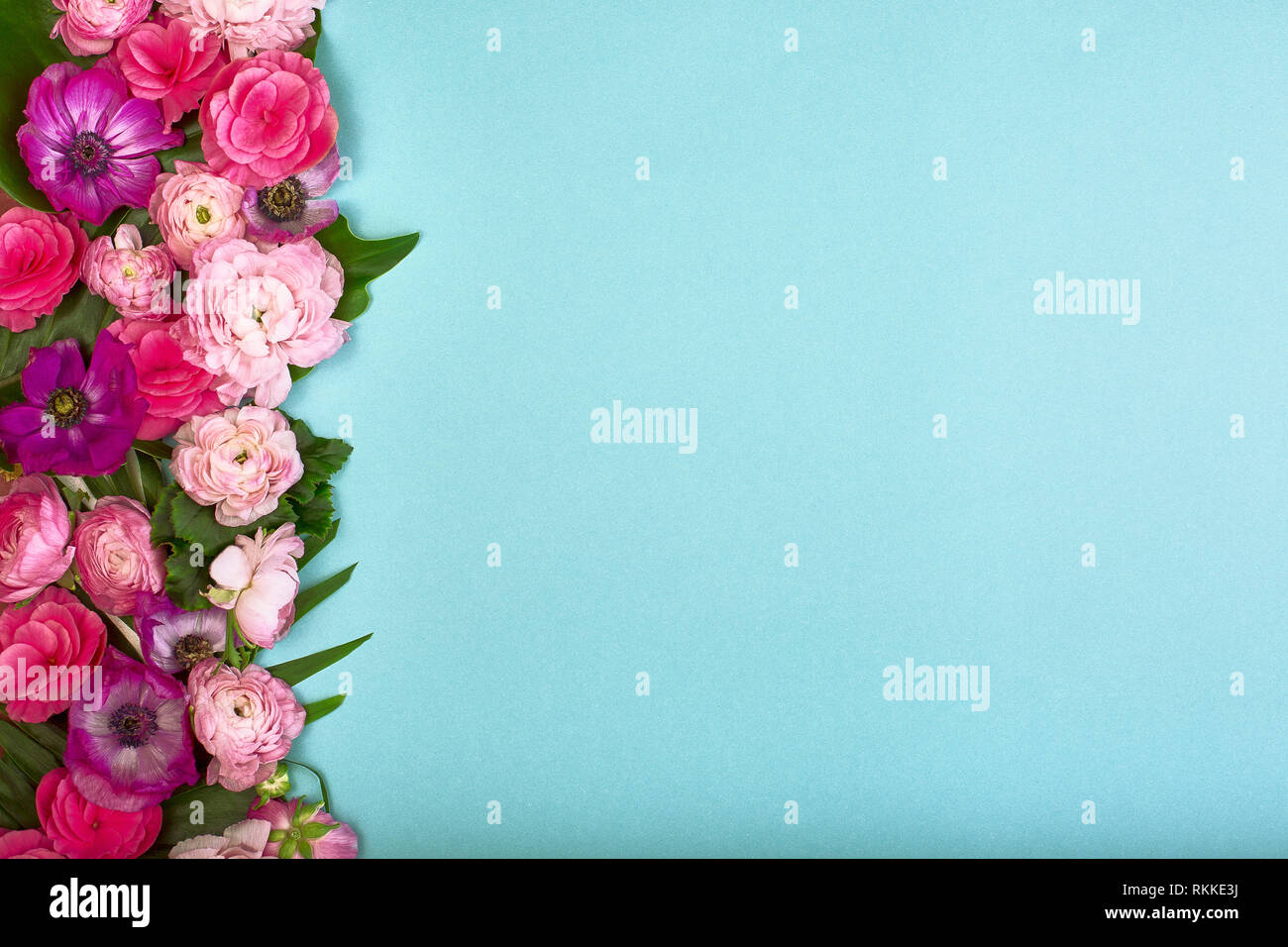 Beautiful floral background, texture, wallpaper. Flat-lay of pink flowers  on blue background, top view, copy space greeting card or wedding  invitation Stock Photo - Alamy